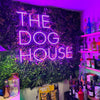 Purple "The dog house" custom bar neon sign in shed bar.