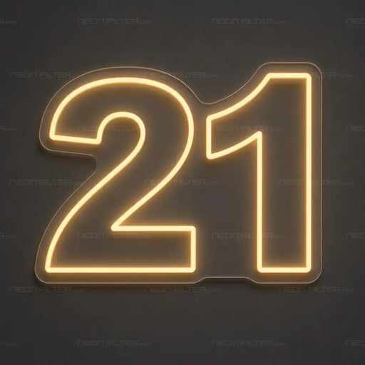 21 Neon Sign for Birthday Decor - Neon Filter