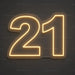 21 Neon Sign for Birthday Decor - Neon Filter