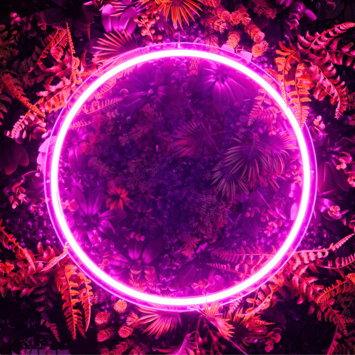 Pink circle neon sign.