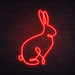 Bunny Neon Sign in Hot Mama Red