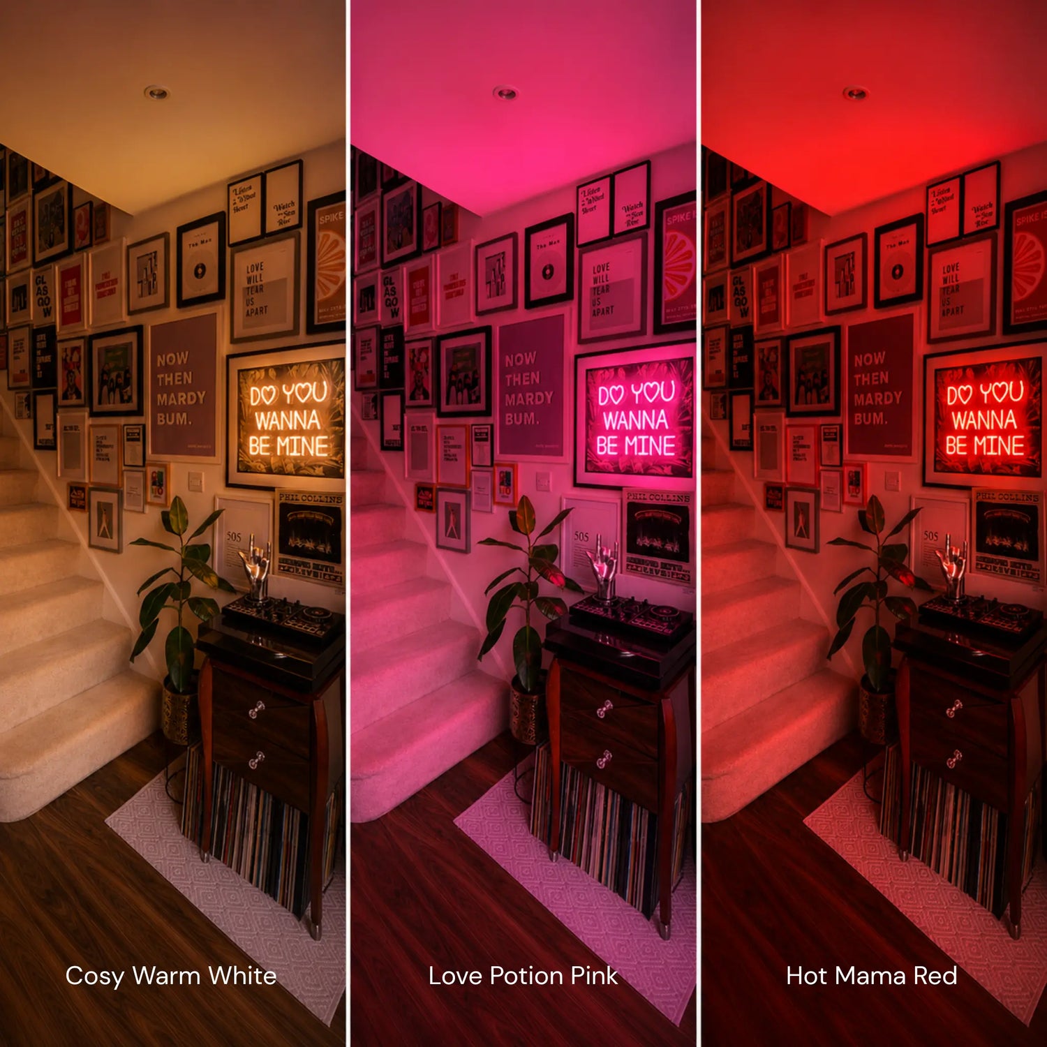 Choosing The Right Colour, Font & Style