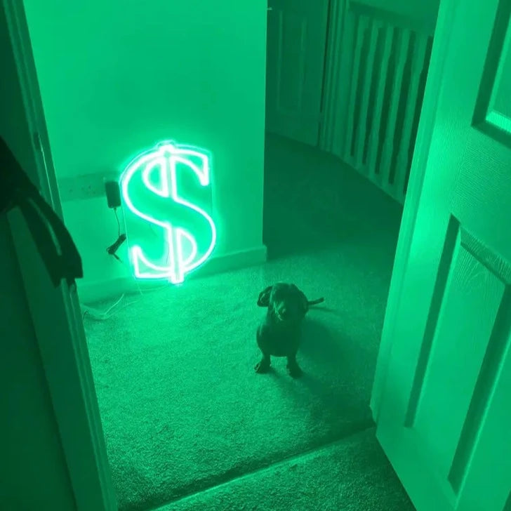 Dollar Neon Sign in Hallway with dog