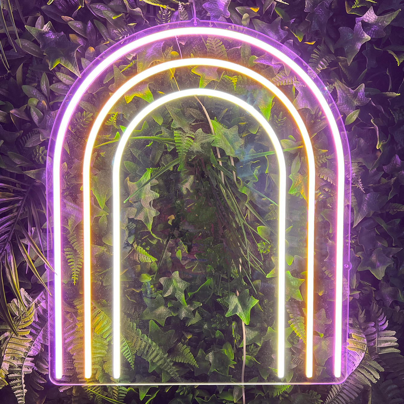 LGBTQIA+ & Gay Pride Neon Signs