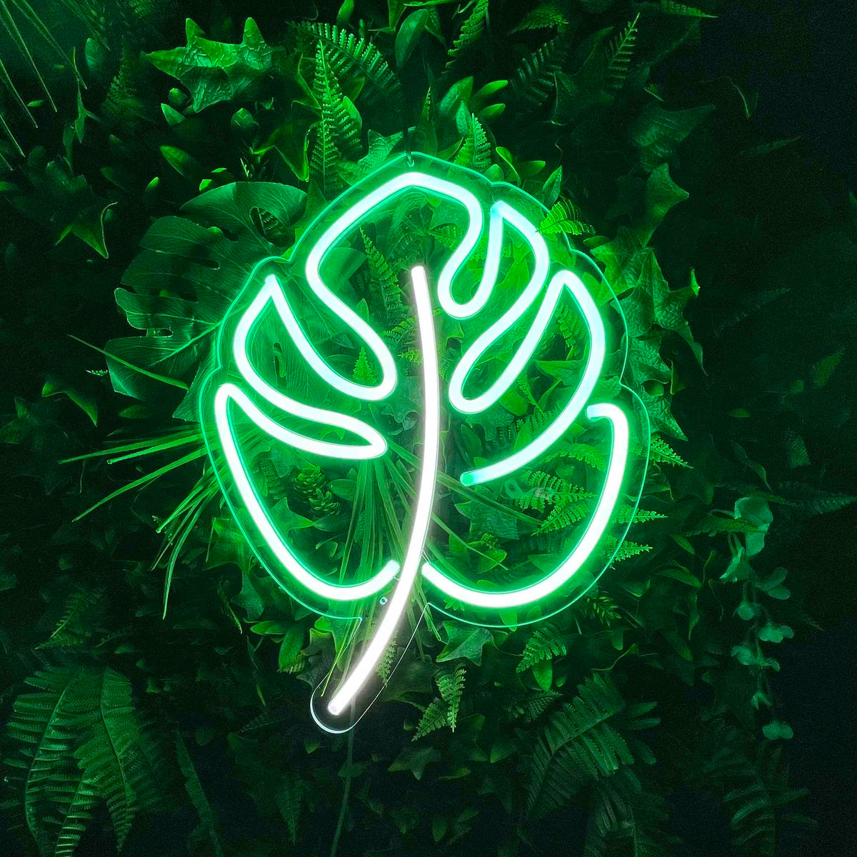 Tropical Monstera Leaf Neon Sign