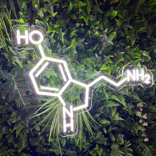 Serotonin Molecule Neon Sign in Snow White