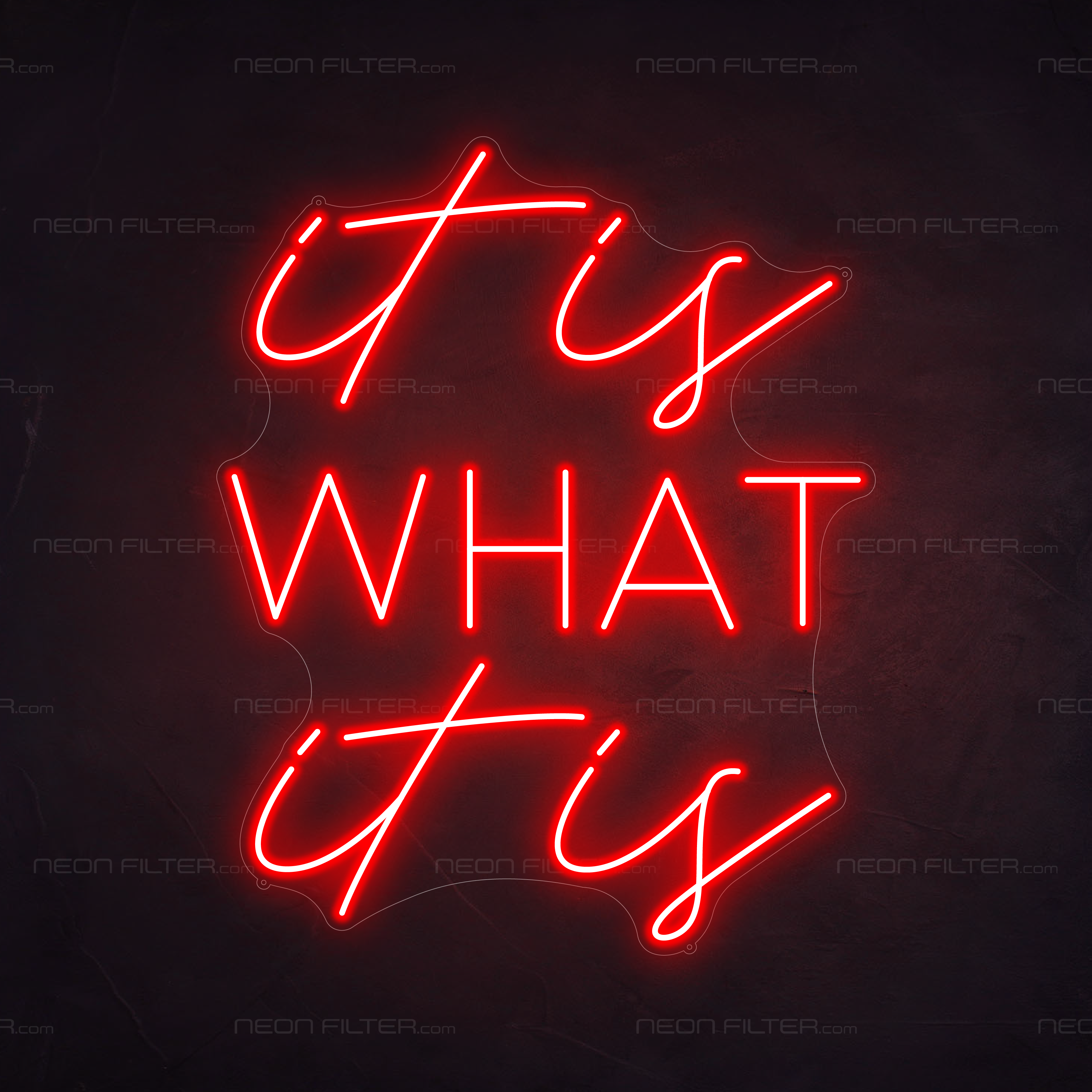 It Is What It Is Neon Sign in Hot Mama Red