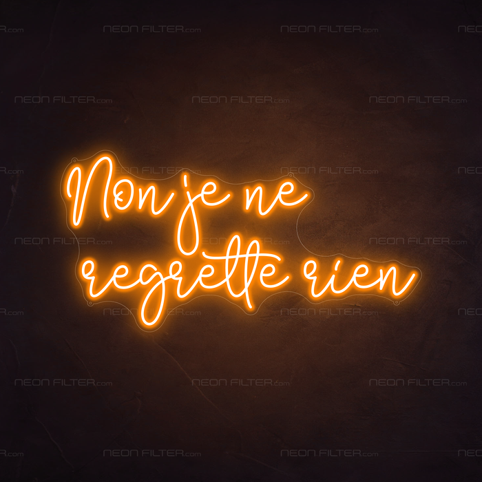 Non Je Ne Regrette Rien Neon Sign in Hey Pumpkin Orange