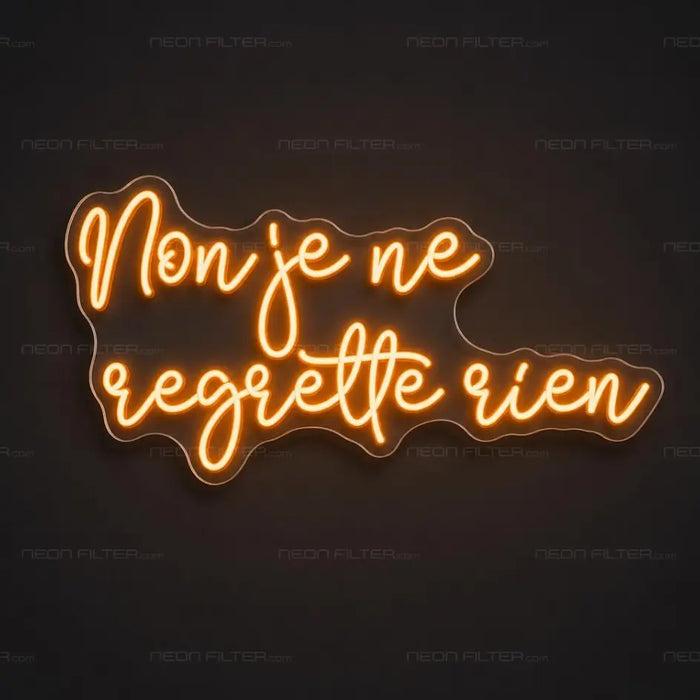 Non Je Ne Regrette Rien Neon Sign