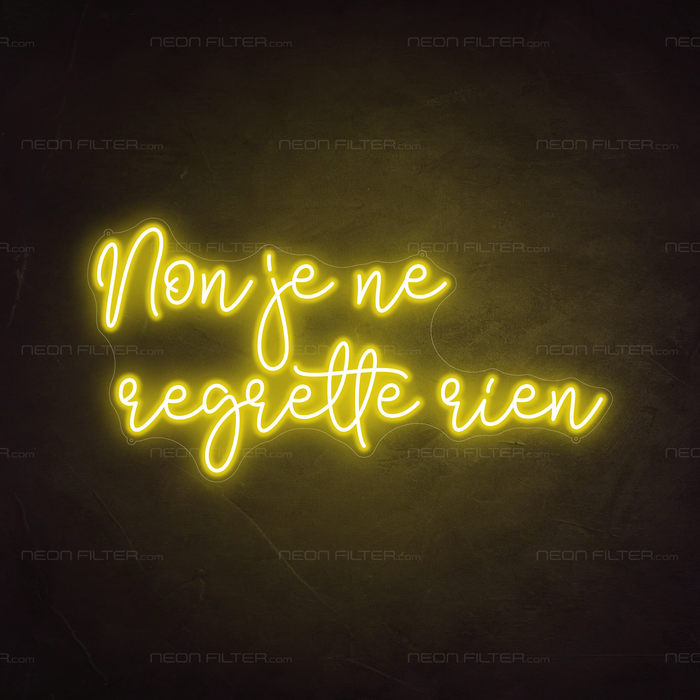 Non Je Ne Regrette Rien Neon Sign in Paradise Yellow