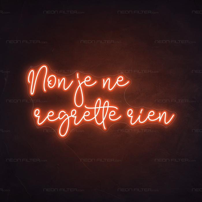 Non Je Ne Regrette Rien Neon Sign in Sunset Orange