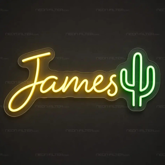 Personalised James Cactus Neon Sign for Kids Decor - Neon Filter