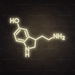 Serotonin Molecule Neon Sign in Cosy Warm White