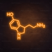 Serotonin Molecule Neon Sign in Hey Pumpkin Orange