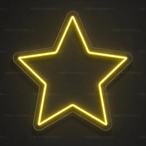 Star Neon Sign