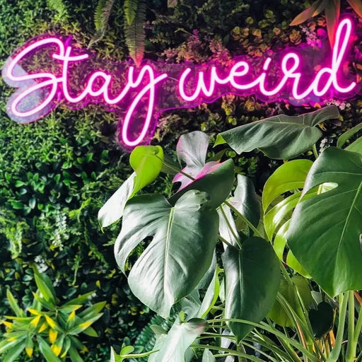 Stay weird neon sign in love potion pink on plant wall with plants