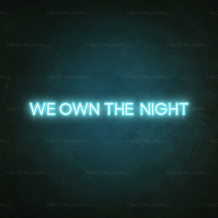 We Own The Night Neon Sign in Glacier blue