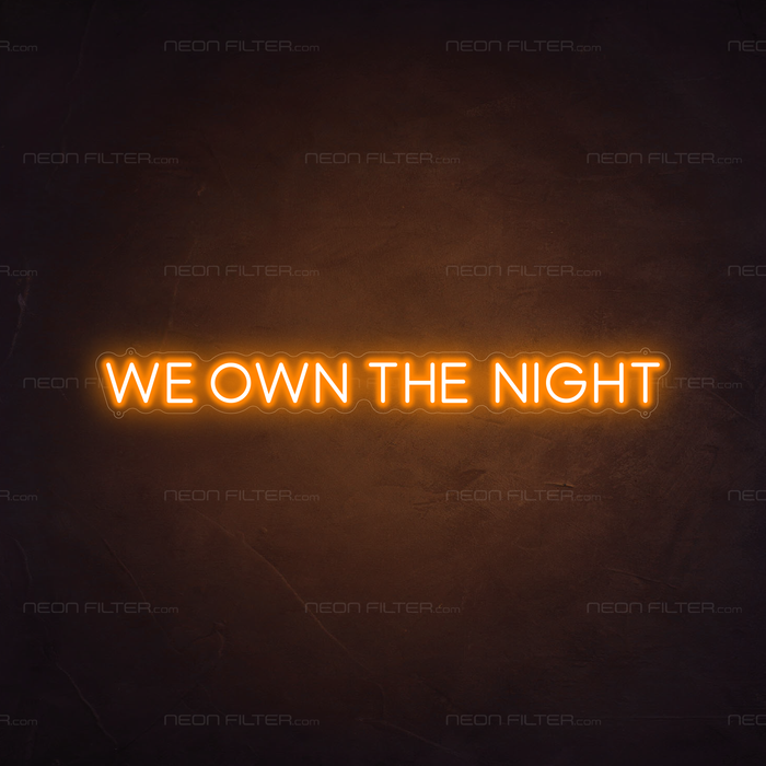 We Own The Night Neon Sign in Hey Pumpkin Orange