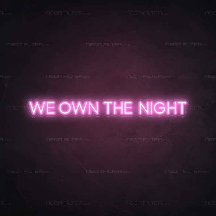 We Own The Night Neon Sign in Pastel Pink