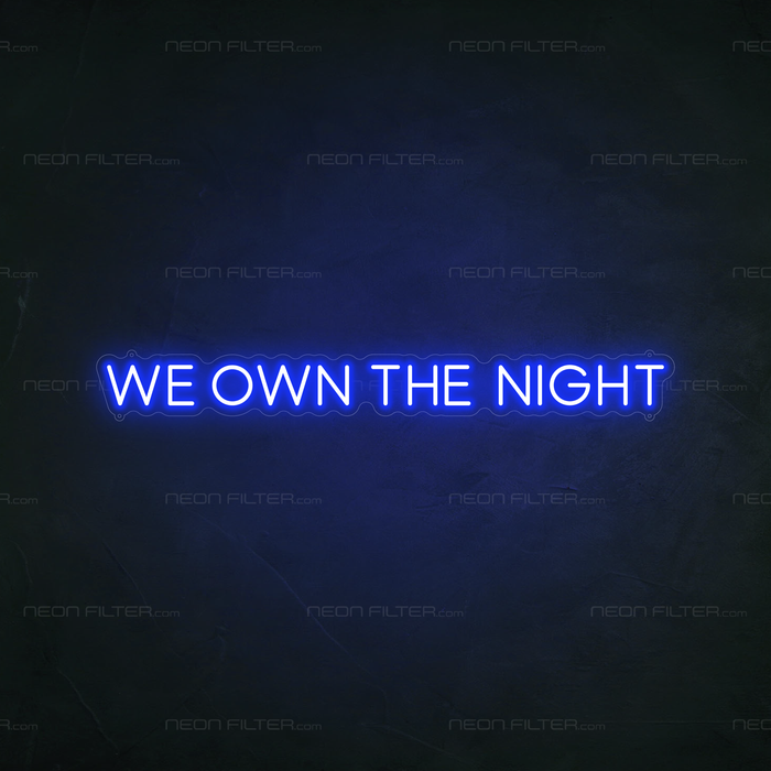 We Own The Night Neon Sign in Santorini Blue