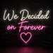 We Decided on Forever Neon Sign for Wedding Decor - Neon Filter