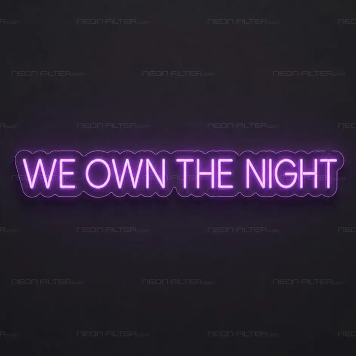 We Own The Night Neon Sign