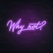 Why Not Neon Sign in Hopeless Romantic Purple