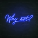 Why Not Neon Sign in Santorini Blue