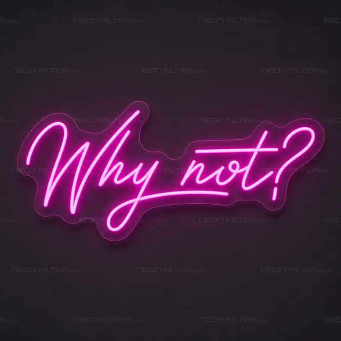Why Not? Neon Sign