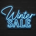 Winter Sale Neon Sign for RetailShop Decor - Neon Filter