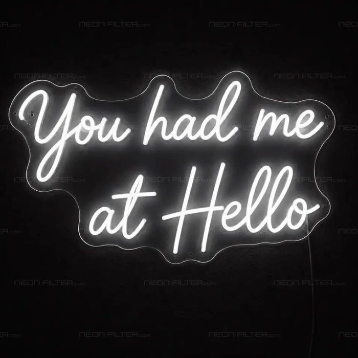 You Had Me at Hello Neon Sign for Wedding Decor - Neon Filter