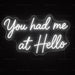 You Had Me at Hello Neon Sign for Wedding Decor - Neon Filter