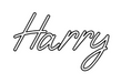 Outline Image