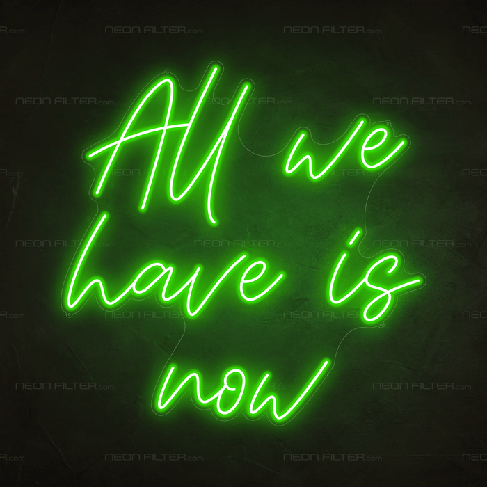 All We Have Is Now Neon Sign - Neon Filter