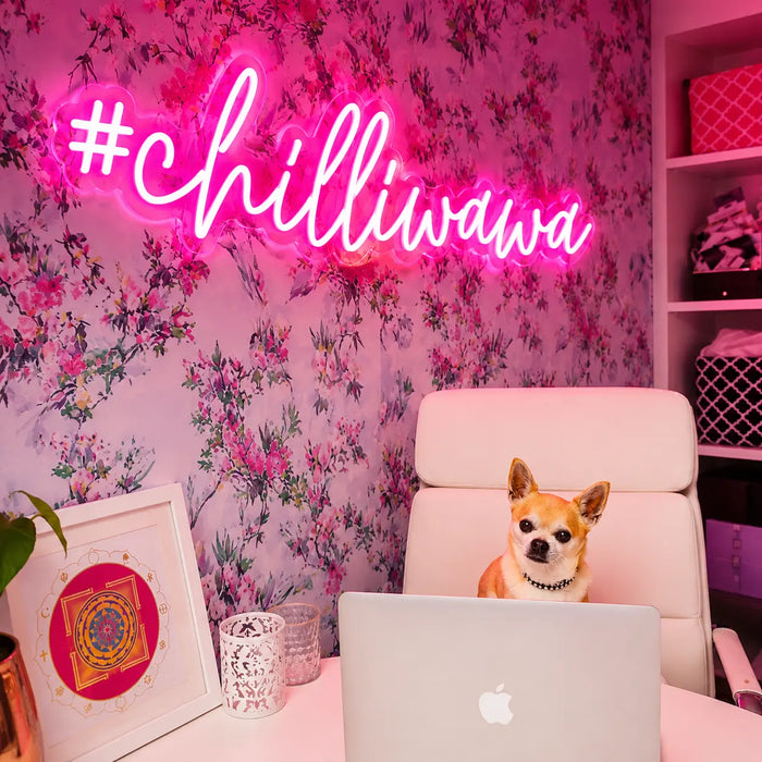 A small tan Chihuahua sits in a white office chair in front of a laptop, set in a room with a pink floral wallpaper, a glowing pink neon sign that reads '#chilliwawa', and a white Apple MacBook on the desk.