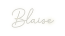 Custom Neon: Blaise - Neon Filter