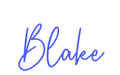 Custom Neon: Blake - Neon Filter