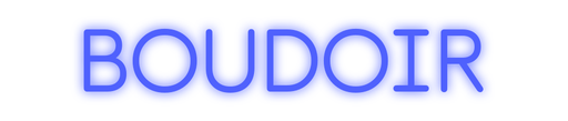 Custom Neon: BOUDOIR - Neon Filter