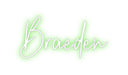 Custom Neon: Braeden - Neon Filter