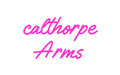 Custom Neon: calthorpe Ar... - Neon Filter