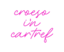 Custom Neon: croeso i'n ca... - Neon Filter