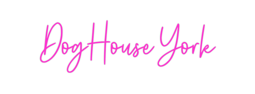 Custom Neon: DogHouse York - Neon Filter