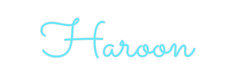 Custom Neon: Haroon - Neon Filter