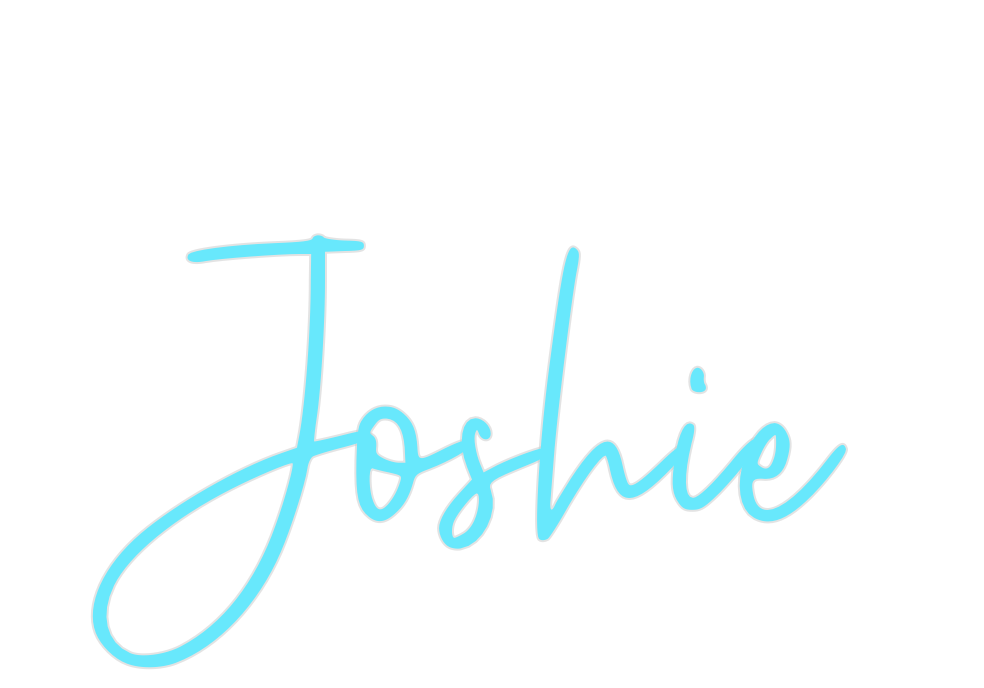 Custom Neon: Joshie - Neon Filter