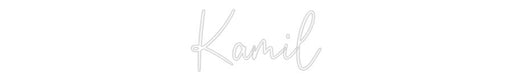 Custom Neon: Kamil - Neon Filter