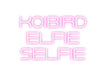 Custom Neon: KOIBIRD ELFI... - Neon Filter