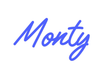 Custom Neon: Monty - Neon Filter