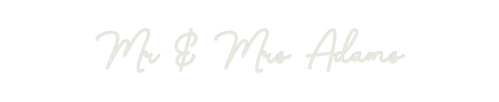 Custom Neon: Mr & Mrs Adams - Neon Filter