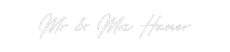 Custom Neon: Mr & Mrs Hamer - Neon Filter