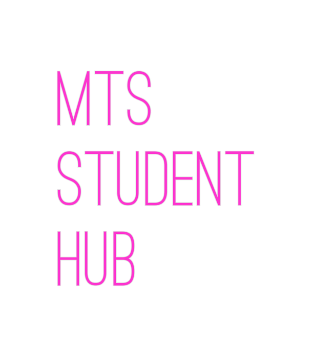 Custom Neon: MTS STUDENT hUB - Neon Filter